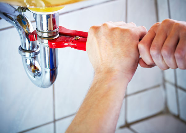 About Wilcox Plumbers